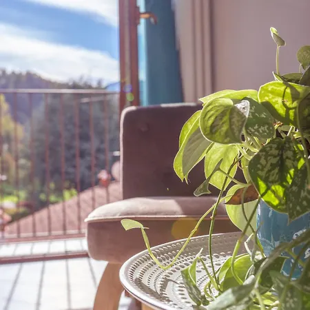 Apartment Larius - View Mandello del Lario